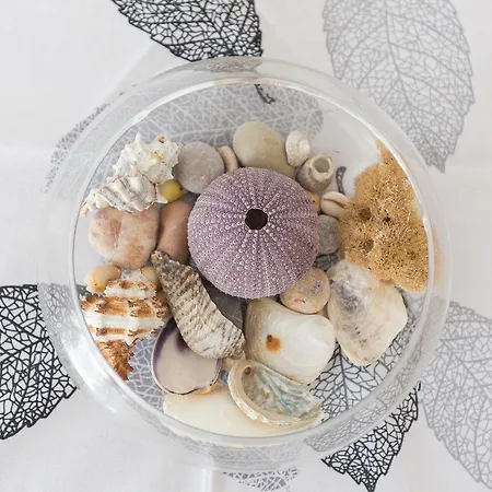 Micic Lejlighed Hvar Town